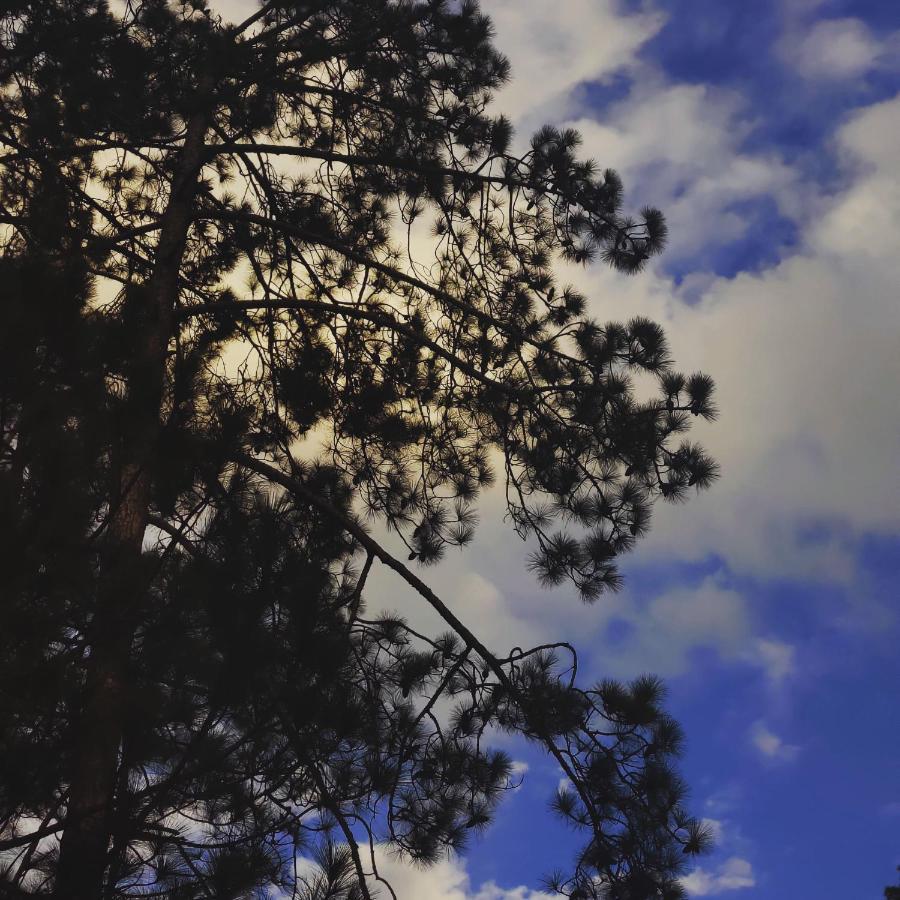 Breathe Inn Kasol Luaran gambar