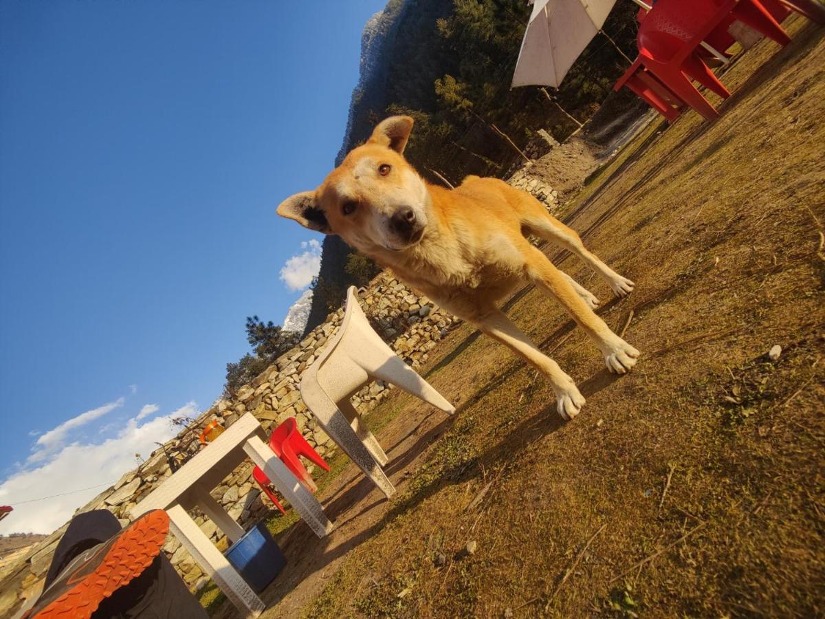 Breathe Inn Kasol Luaran gambar